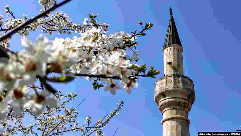 Cami minaresi manzarasında çeçek açqan terekler