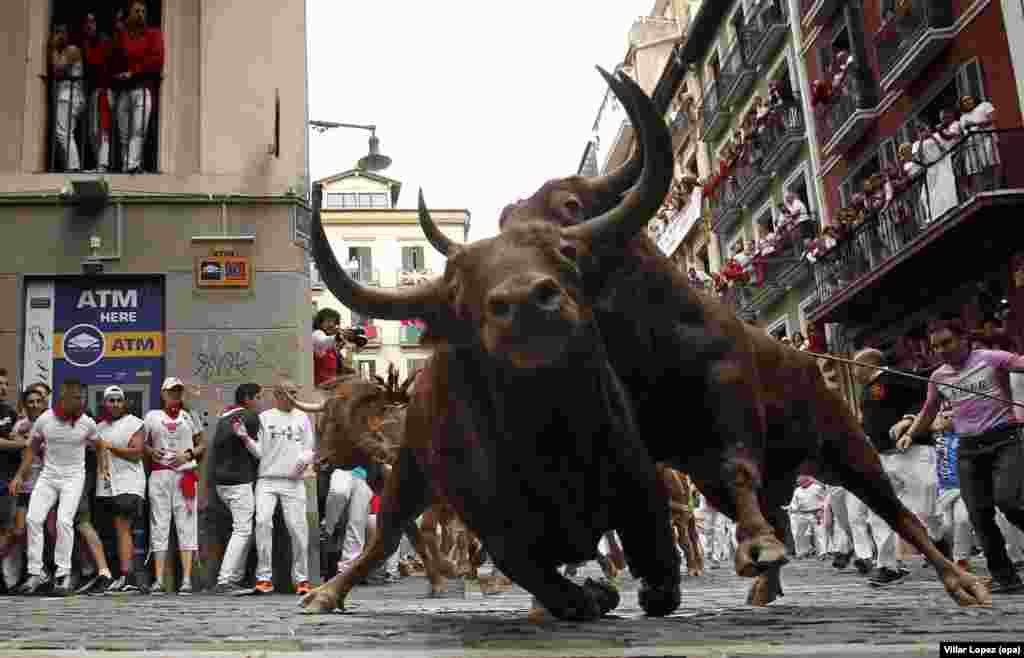 Bulls chase &quot;mozos&quot; or runners during the fifth &quot;encierro&quot; or bull run of the Festival of San Fermin in Pamplona, Spain, on July 11. (epa/Villar Lopez)