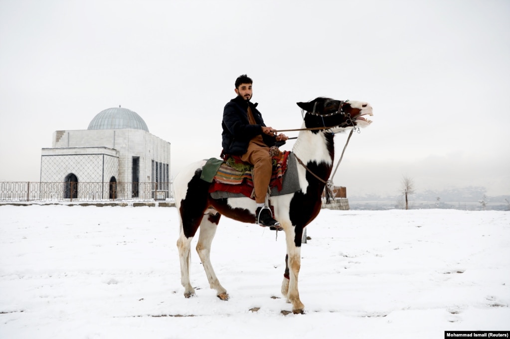 Doctor Mohammad Jawed Momand, 22. "Peace requires everyone to lay down their arms, and think about education and prosperity in our country."