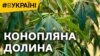 #ВУКРАЇНІ | Конопляна долина