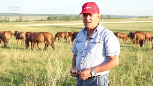 Фәнир Галимов: "Атлар янына килеп күңелемне юатам"