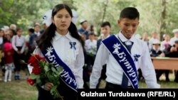 Иллюстрациялык сүрөт. 