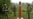 Belarusian guards stand at the border between Poland and Belarus in Krynki, Poland, on August 31.