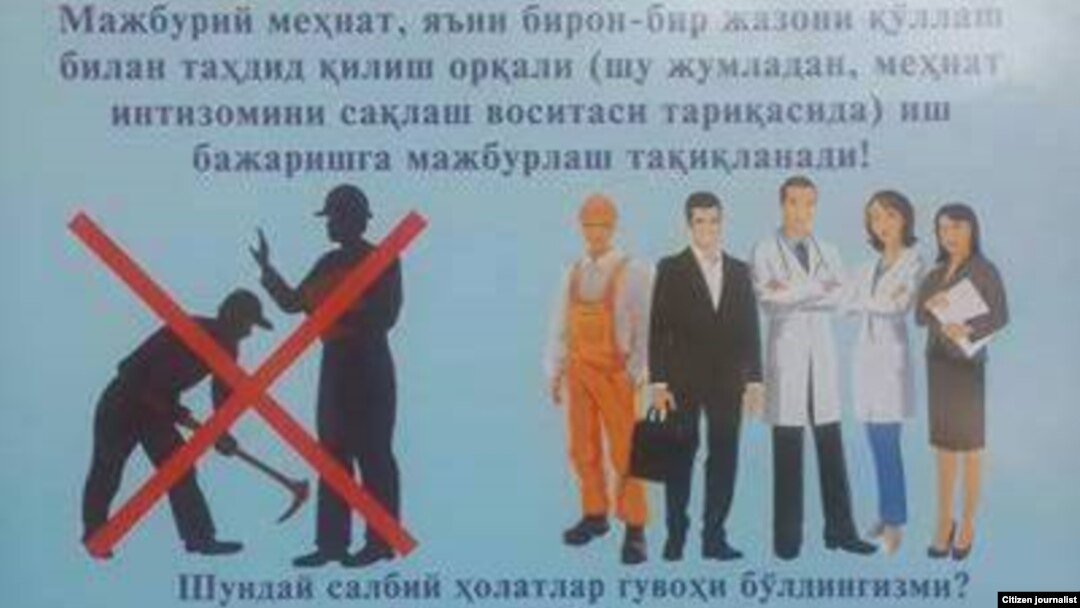 Ўзбек расмийлари сўнгги йилларда мамлакатда мажбурий меҳнатга қарши кураш бўйича чора-тадбирлар кучайтирилганини иддао қиладилар.