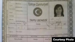 Иллюстративное фото