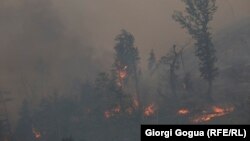 Пожежа поблизу курортного міста Боржомі, Грузія, 22 серпня 2017 року