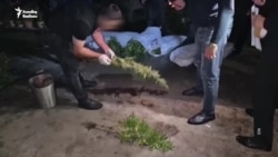 Narkotik ittihamlı həbslərə dəyişiklik ola bilərmi? 'Hələ ki konsensus tapmaq olmur'