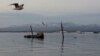 A sunken vessel is seen near Kunashir, one of four islands known as the Southern Kuriles in Russia and the Northern Territories in Japan. (file photo)