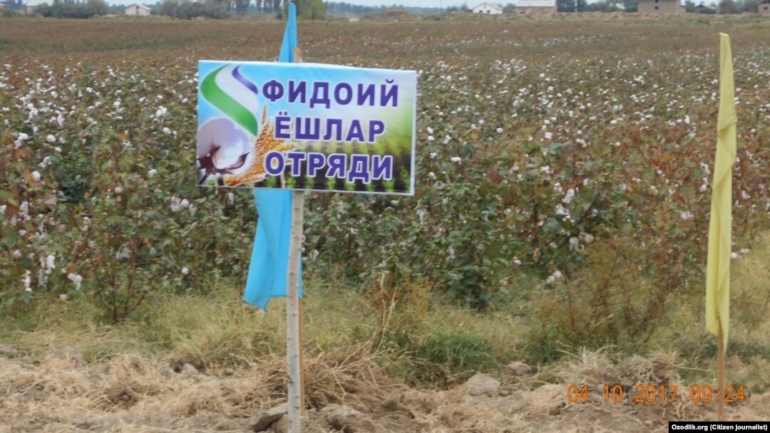 Иллюстратив сурат