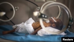 Újszülött inkubátorban egy heráti kórház intenzív osztályán