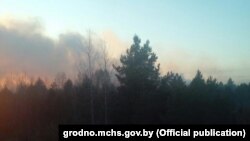 Пажар у Горадзенскім раёне, 24 красавіка. Фота: Міністэрства па надзвычайных сытуацыя