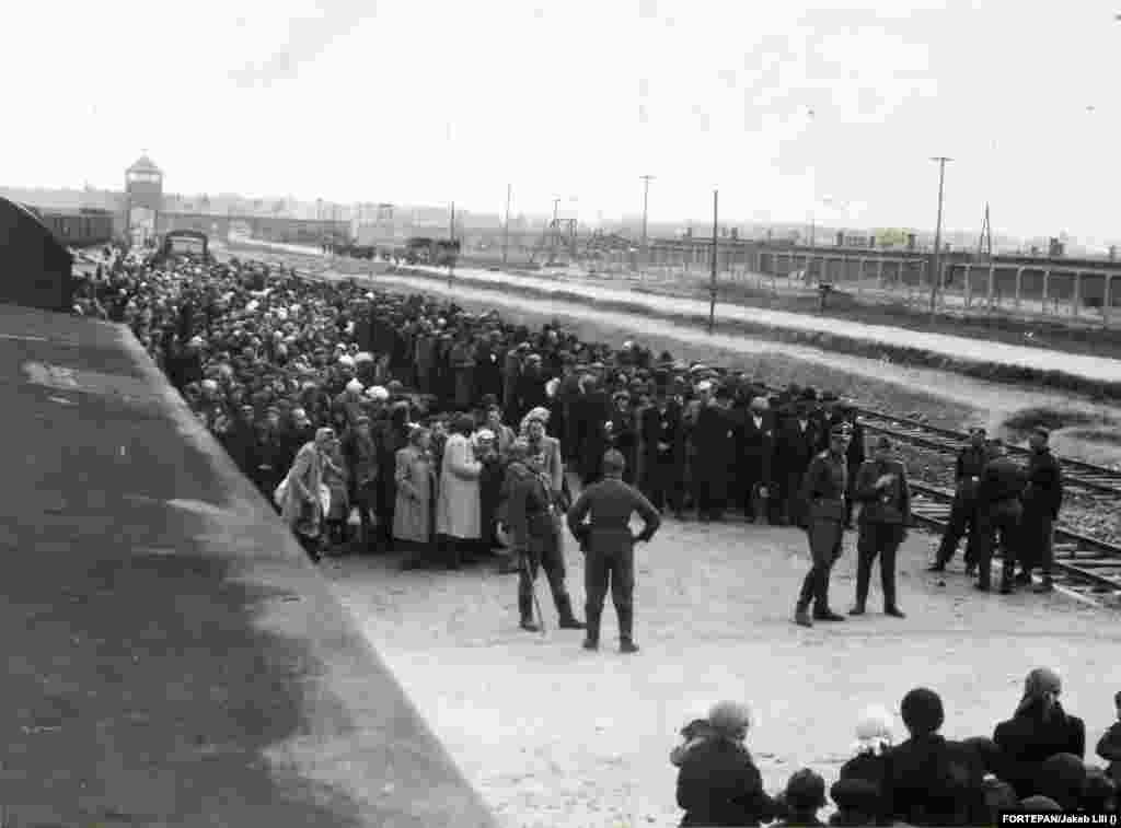 Auschwitzba érkező magyar zsidók a kiválasztási folyamat előtt. A férfiakat és a nőket külön oszlopokba sorakoztatták fel