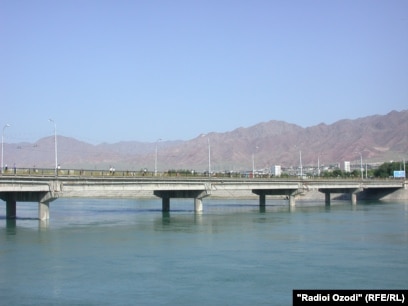 Желідегі бұталардағы күтпеген секс