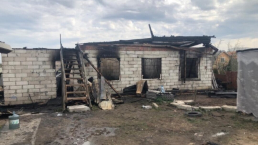 Porno disklar uchun DVD panellari Olomonning eshaklarini sindirish surati