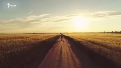 OZODNEWS: “Келишдик” дейишга эрта”. Тинчлик режаси | Украинага босқин: 1404-кун