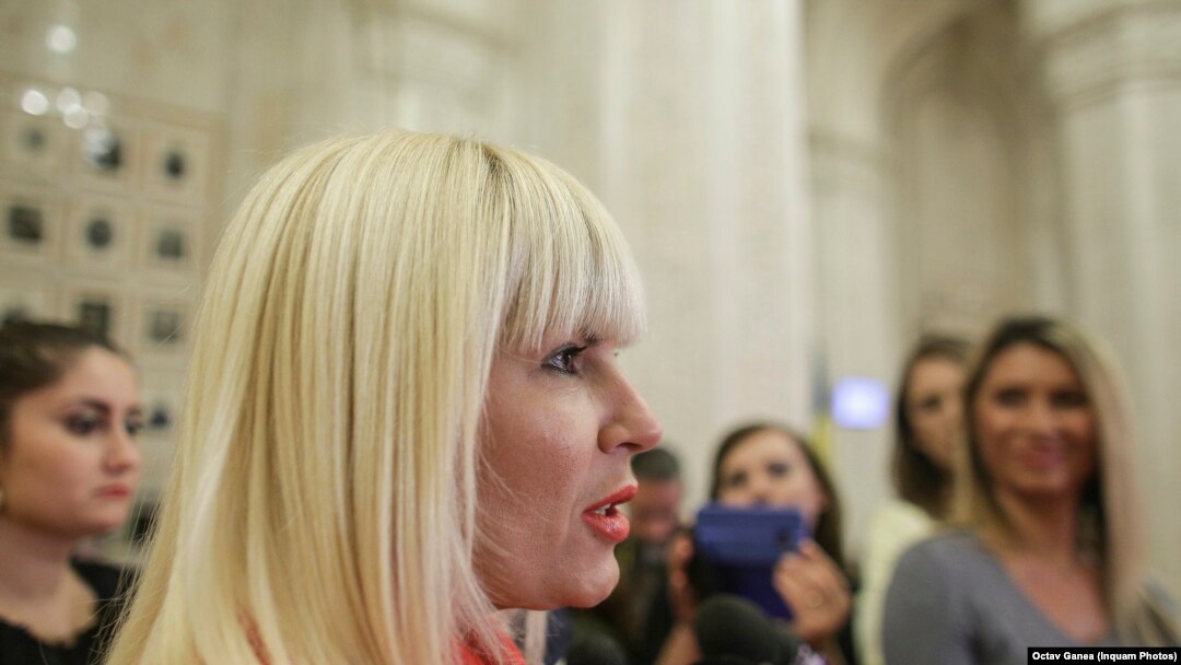 În 2 noiembrie 2017, Elena Udrea a apărut în față Comisiei parlamentare pentru anchetarea desfășurării alegerilor din 2009.