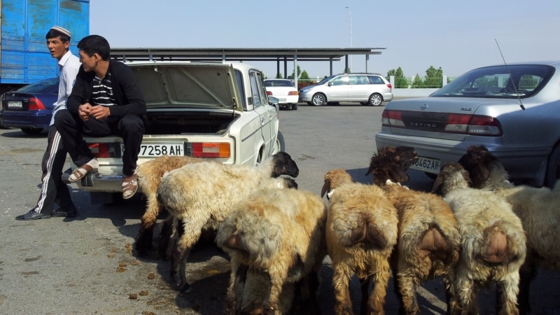 Türkmenistan: Çäklendirmeler sebäpli et söwdasyny edýänleriň işi kynlaşýar