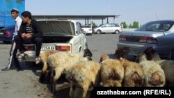 Türkmenistanda Gurban baýramy mynasybetli satuwa çykarylan mallar (Arhiw suraty)