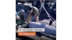 Ученые и экологи опасаются за жизнь выпущенных из "китовой тюрьмы" косаток и белух