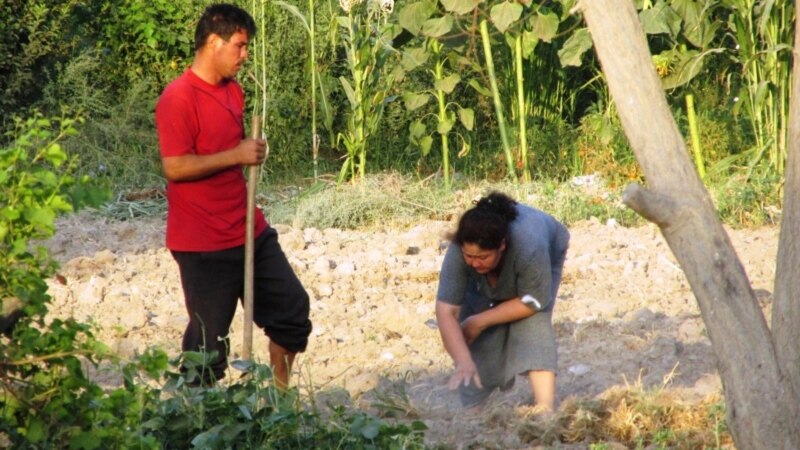 'Edilmedik' hyzmatlar üçin tölegleri tabşyrmak gezegi Lebaba ýetdi