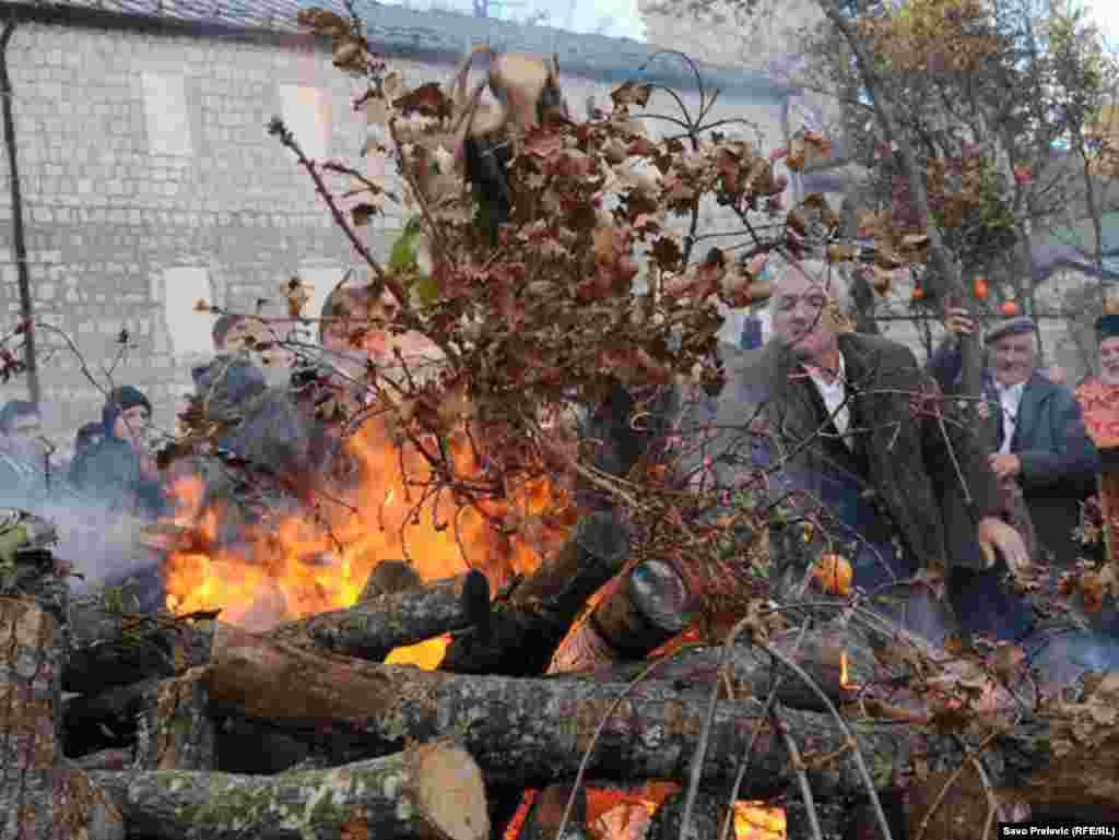 Cetinje, 06.11.2011. Foto: Savo Prelević 