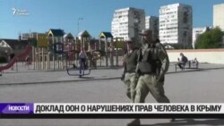 Доклад ООН: ситуация в Крыму нарушает принципы международного права (видео)