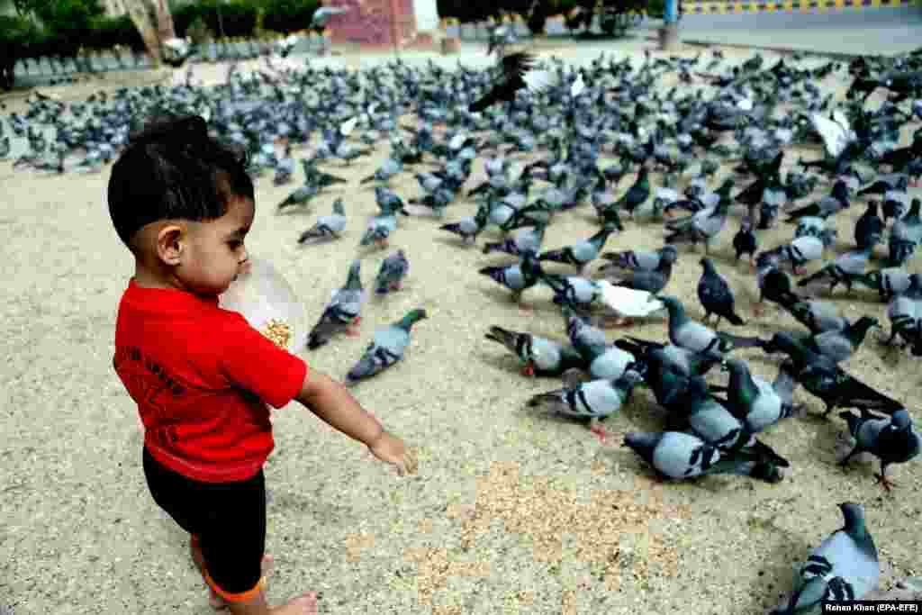 A boy feeds pigeons in Karachi, Pakistan, on April 14. (epa-EFE/Rehan Khan)