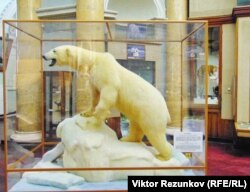 Экспонат музея Арктики и Антарктики