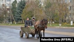 „Dacă n-ar fura parlamentarii, apoi ar fi mai bine.”