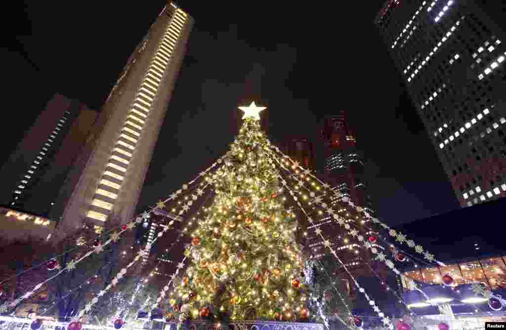 Рождественскую елку в Токио установили посредине бизнес-квартала Шинджуку