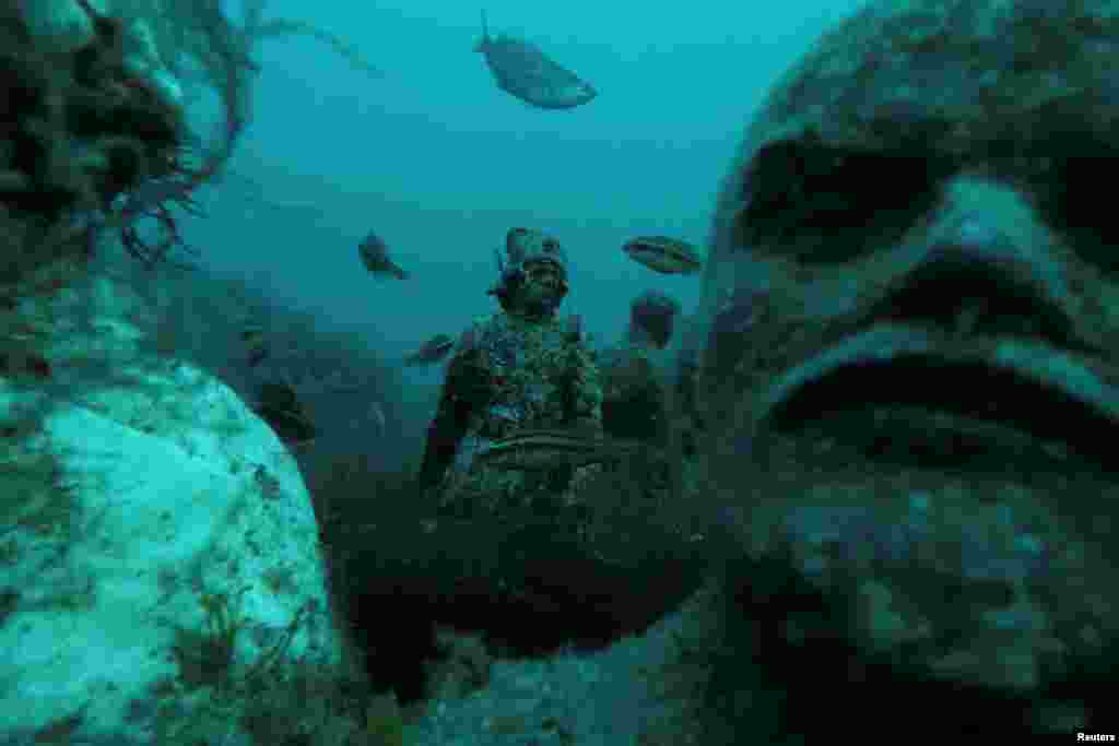 &quot;My buddy and I were shooting photos, when suddenly I had a feeling there was someone watching us.... Framed by swaying algae was the face of the great revolutionary Vladimir Ilyich Lenin.&quot;