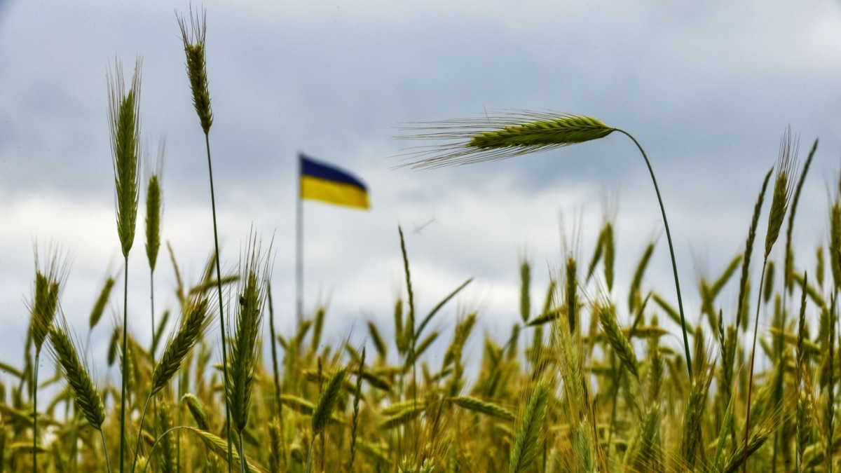 Україна домовляється з ЄС про відкриті кордони для своєї агропродукції – Мінагро