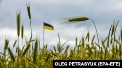 Ukraine is a major global wheat supplier, but its Black Sea ports have been blocked because of the war. (file photo)