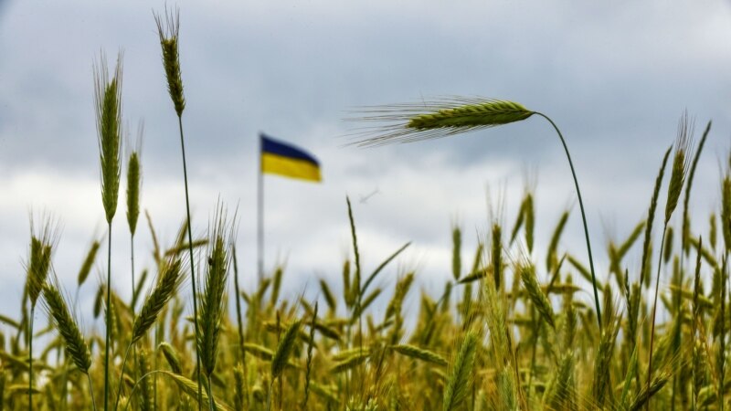 Skok cijena pšenice nakon ruskog granatiranja Odese