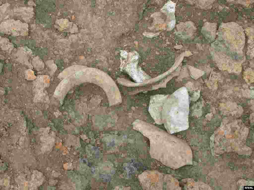 Залишки предметів побуту трипільців, які знаходять під час розкопок