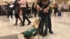 grab: russia - airport dogs