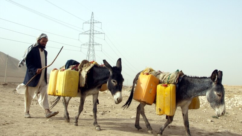 ملل متحد: افغانستان برای مبارزه با خشکسالی به کمک نیاز دارد 