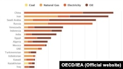 Energy Subsidies by Country, 2016 based on OECD/IEA report.