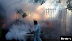 Prašenje protiv komaraca zbog zika virusa, Nikaragva, januar 2015.