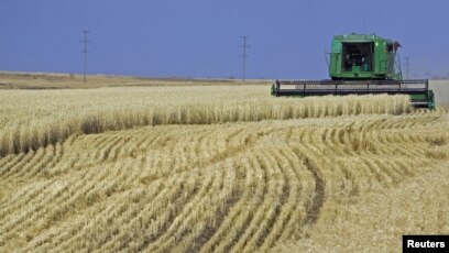 Орыс әйелі күйеуіне стриптиз жасады (порно видео)