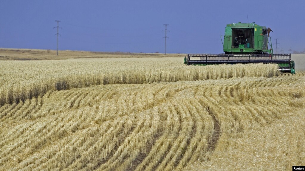 مزرعهای در نزدیکی آستانه، قزاقستان