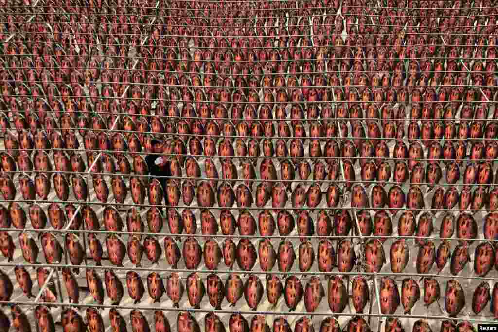 Balyk kärhanasynda kakadylan balyklary sütünlerden asýan işçi.&nbsp; Hangzhou, Zhejiang welaýaty, Hytaý. (Reuters/Stringer)