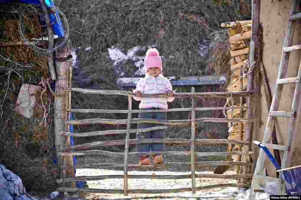 Tövlə ətrafında oynayan uşaq.