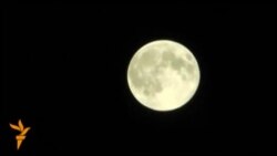 В ночь на понедельник Луна приблизилась к Земле на минимальное расстояние