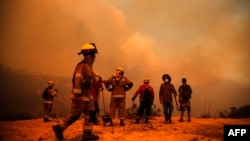 
Чилійське лісове агентство Conaf повідомило, що в неділю пожежники боролися з 23 пожежами по всій країні. Фото архівне 