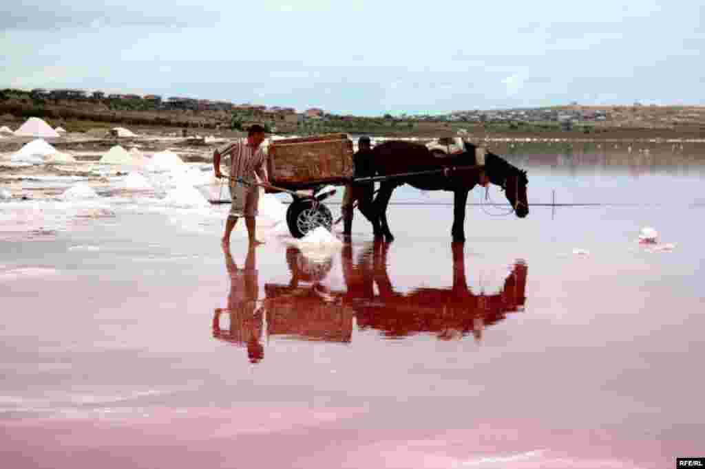 Çörəyi duzdan çıxaranlar #22