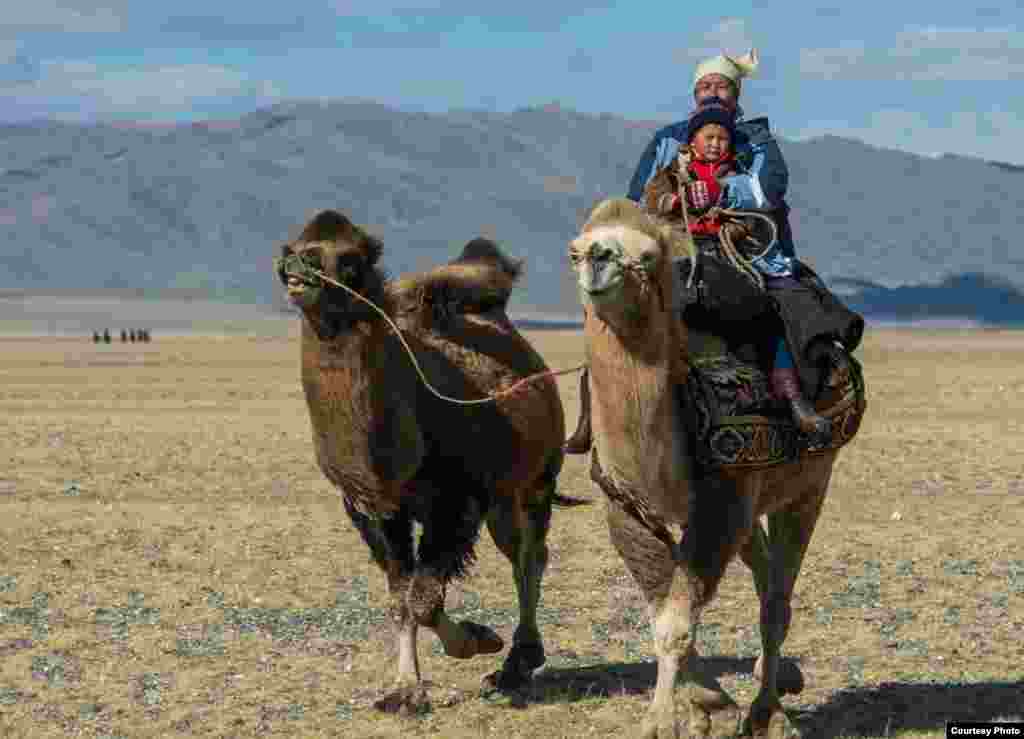 Женщина с ребенком верхом на верблюде.