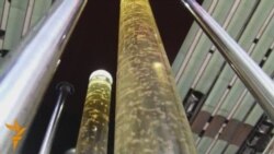 "АгроПродЭкспо-2011"