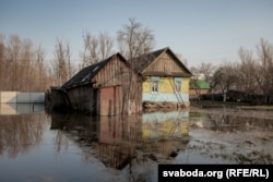 Паводка Прыпяці на Палесьсі