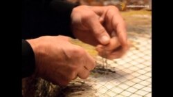 Волонтери без кордонів